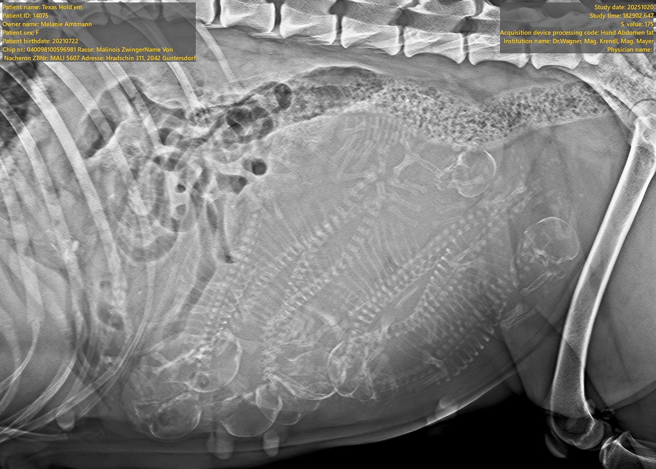 Kleine Wunder sind unterwegs!
