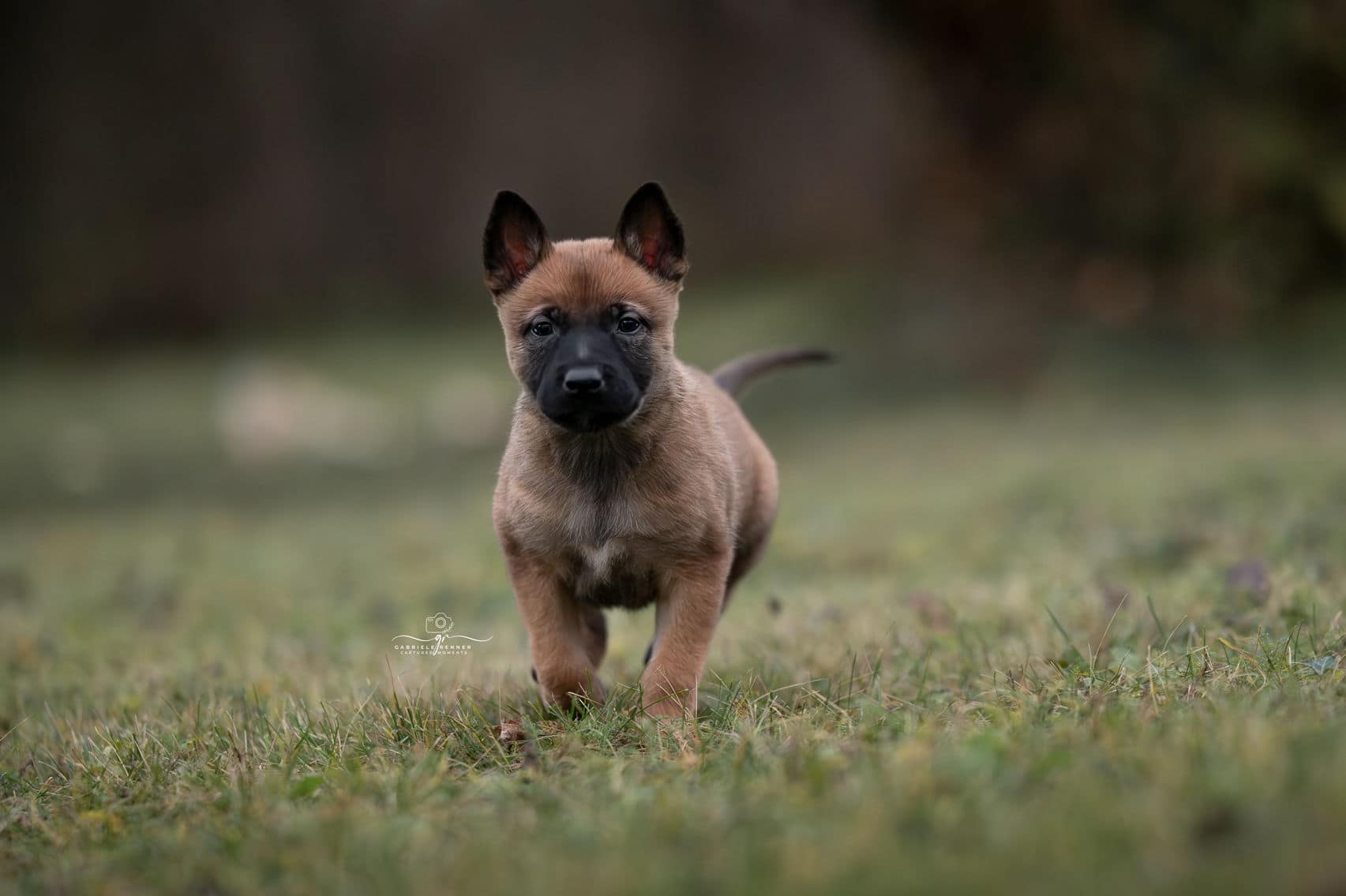 Ein Dank von Herzen.